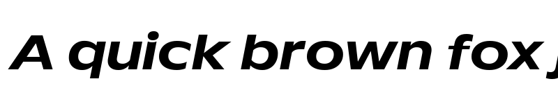 Preview of TT Runs Trial Bold Italic font