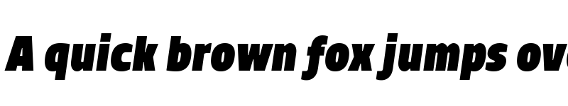 Preview of TT Teds Black Italic font