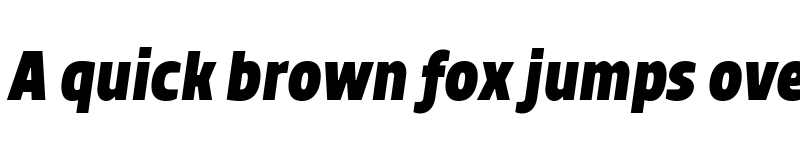 Preview of TT Teds ExtraBold Italic font