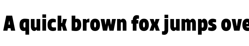 Preview of TT Teds ExtraBold font