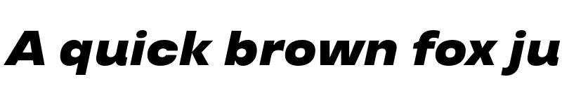 Preview of TT Travels Trl Black Italic font