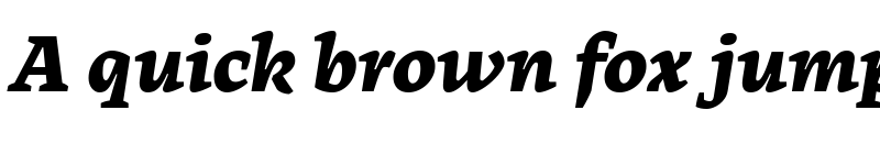 Preview of Tuna Heavy Italic font