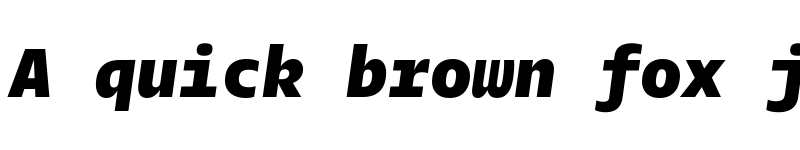 Preview of Twilio Sans Mono Heavy Italic font