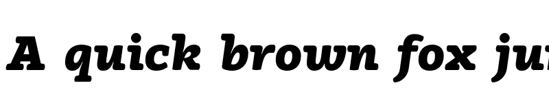 Preview of Vaccine Black Italic font