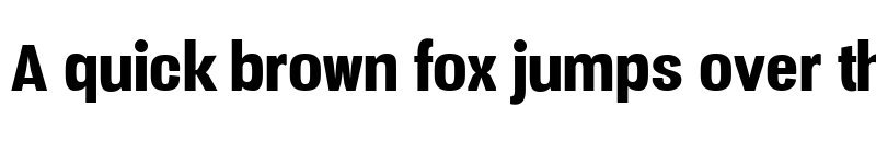 Preview of Vacer Sans Personal Black font