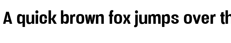 Preview of Vacer Sans Personal Bold font