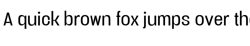 Preview of Vacer Sans Personal Book font