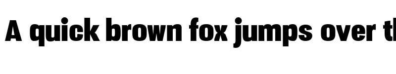 Preview of Vacer Sans Personal Fat font