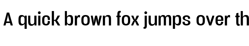 Preview of Vacer Sans Personal Regular font