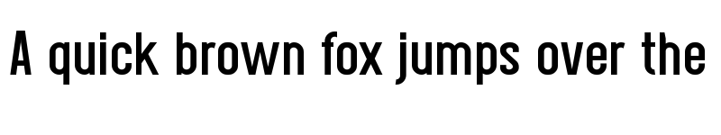 Preview of Vaglio Sans Bold font