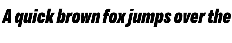 Preview of Variera Demo Black Italic font