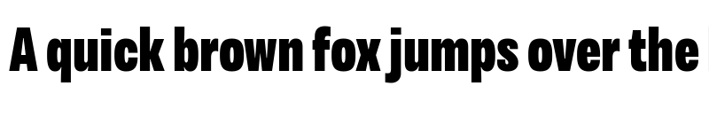 Preview of Variera Demo Black font