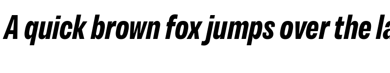 Preview of Variera Demo Bold Italic font