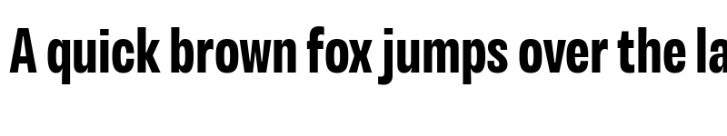 Preview of Variera Demo Bold font