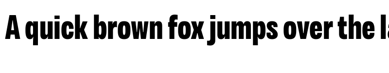 Preview of Variera Demo Extra Bold font