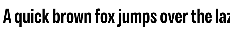 Preview of Variera Demo Semi Bold font