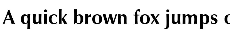 Preview of Vera Humana 95 Bold font