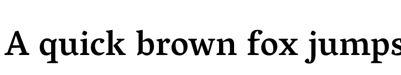 Preview of Vesper Libre Medium font