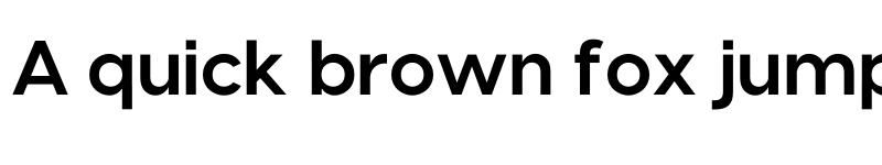 Preview of Visby Bold font