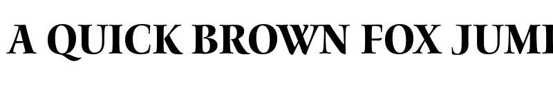 Preview of Waters Titling Pro Bold Semicondensed font