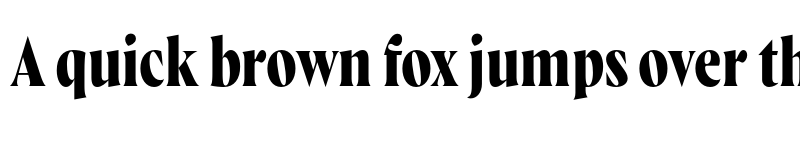 Preview of Wayfinder CF Bold font