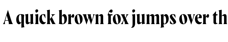 Preview of Wayfinder CF Demi Bold font