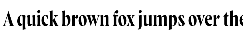 Preview of Wayfinder CF Regular font