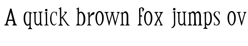 Preview of witka Regular font