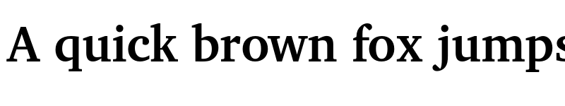 Preview of XCharter Bold font