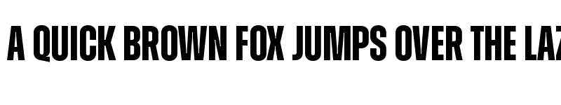 Preview of Zuume Bold font